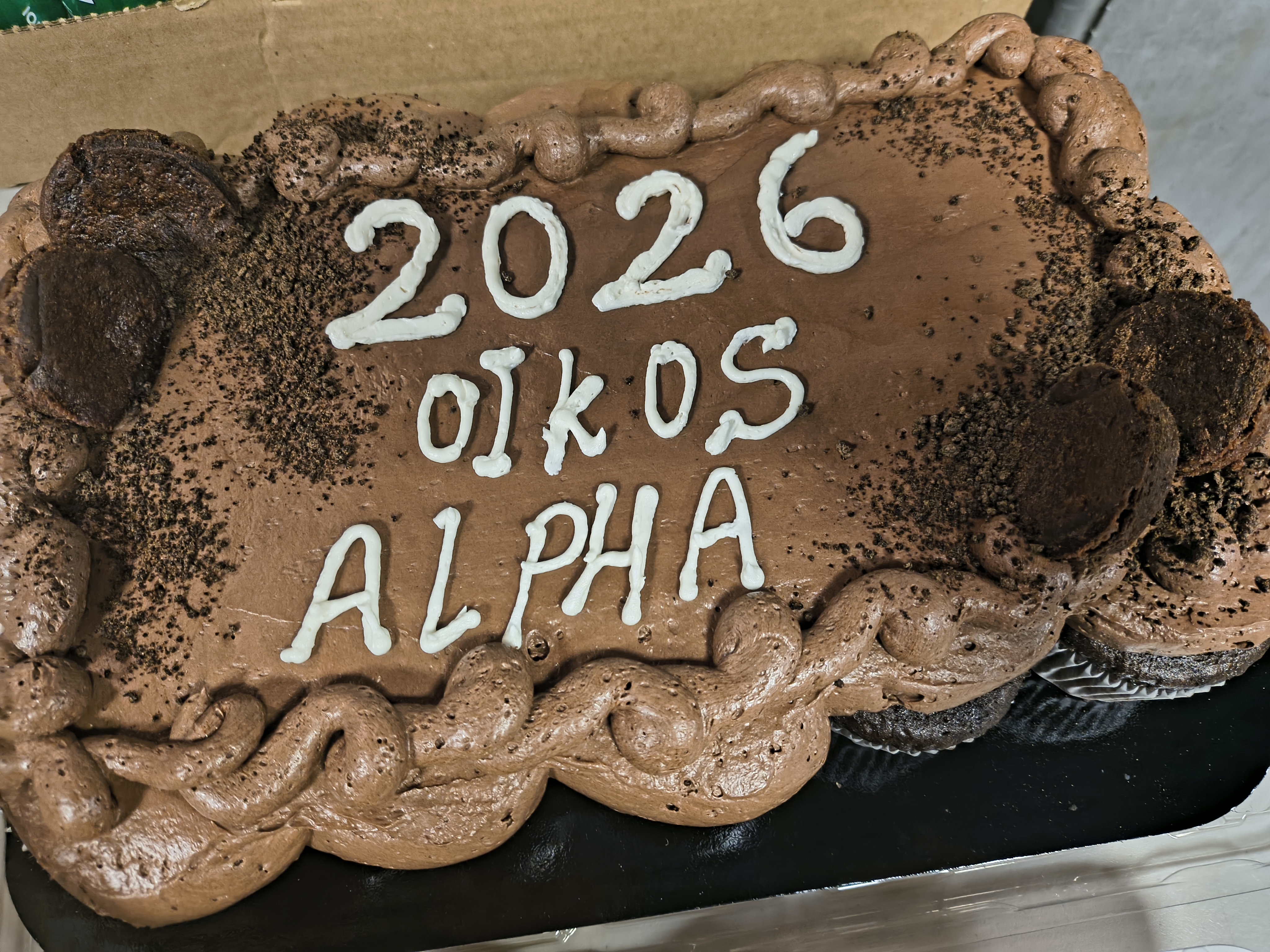 12_oikos alpha cake.jpg